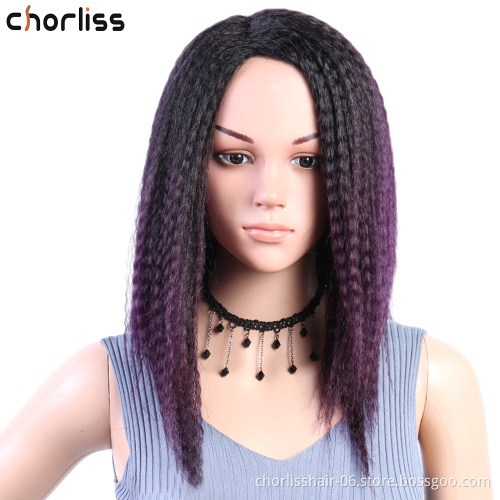 High Quality Natural Fashion Comfortable Purple Brown Blonde Ombre Afro YAKI Straight Kinky Synthetic Hair Wigs for Black Women